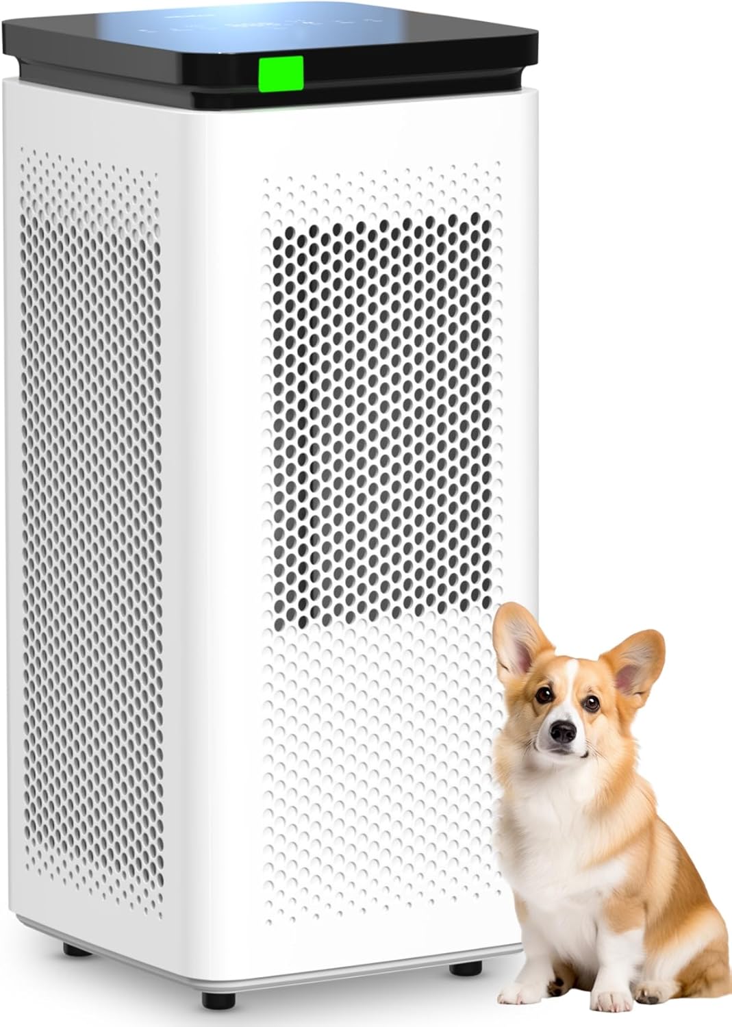 airpurifier-801