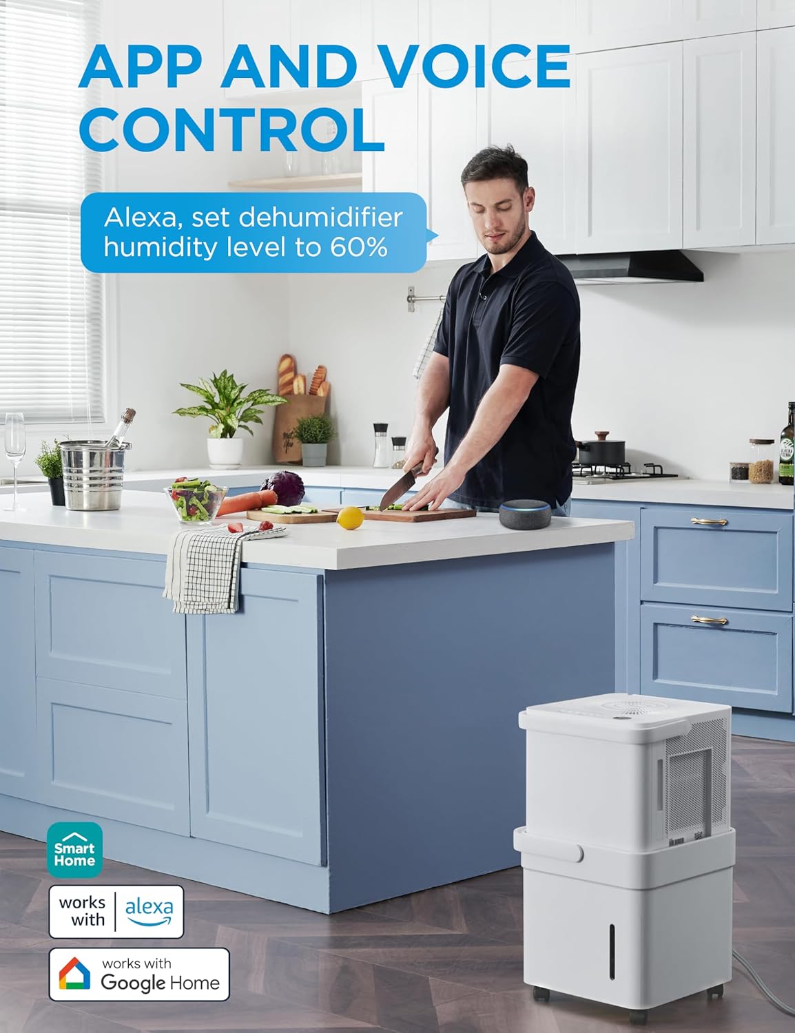 dehumidifier-3002