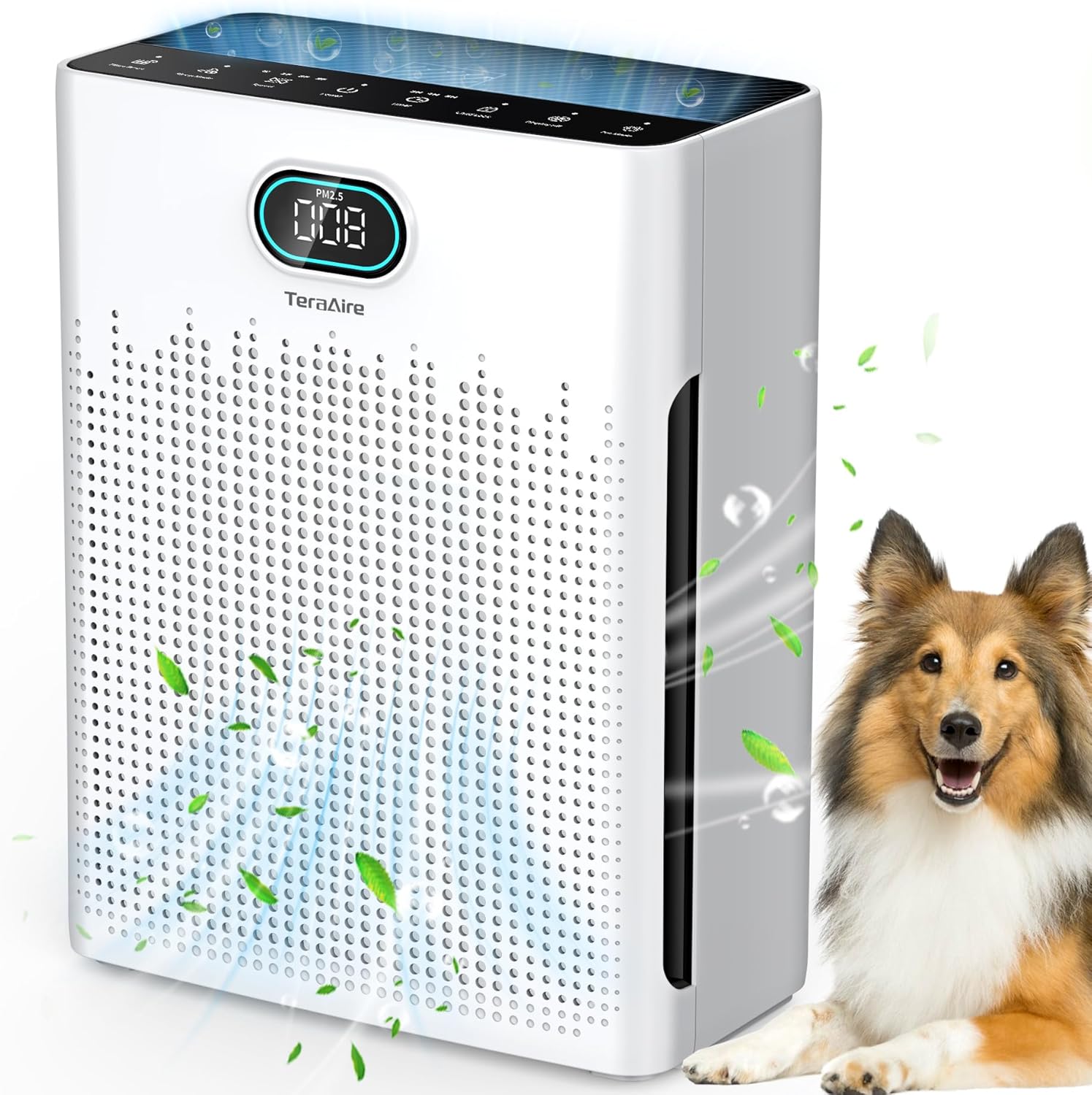 airpurifier-2900